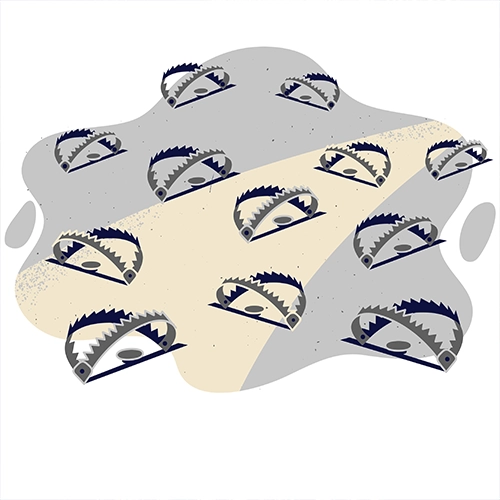 Risk Management Systems and Suppliers Report