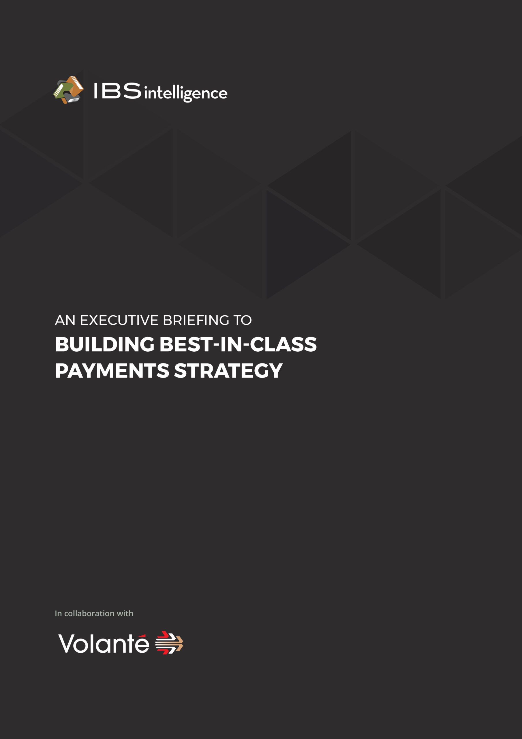 An Executive Briefing to Building Best-in-Class Payments Strategy